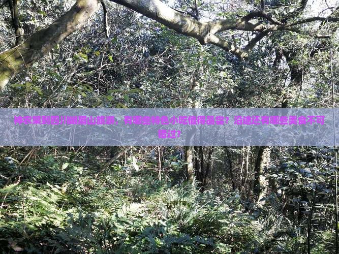 神农架到四川峨眉山旅游，有哪些特色小吃值得品尝？沿途还有哪些美食不可错过？