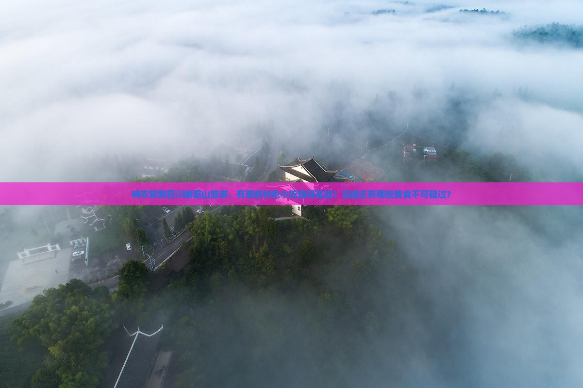 神农架到四川峨眉山旅游，有哪些特色小吃值得品尝？沿途还有哪些美食不可错过？