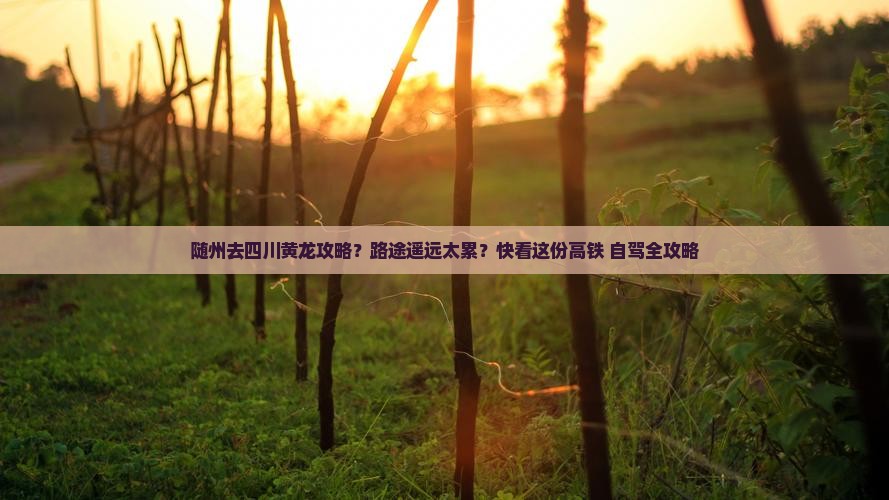 随州去四川黄龙攻略？路途遥远太累？快看这份高铁+自驾全攻略