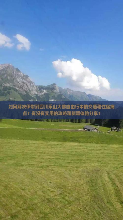 如何解决伊犁到四川乐山大佛自由行中的交通和住宿痛点？有没有实用的攻略和新颖体验分享？