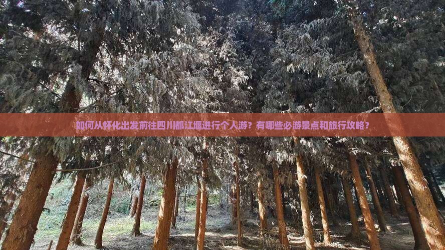 如何从怀化出发前往四川都江堰进行个人游？有哪些必游景点和旅行攻略？