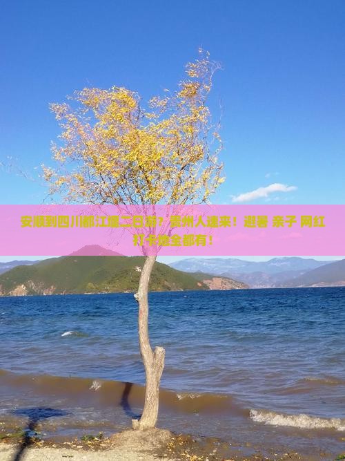 安顺到四川都江堰二日游？贵州人速来！避暑+亲子+网红打卡地全都有！