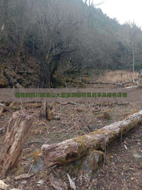 临猗到四川峨眉山大型旅游团招募启事及报名详情
