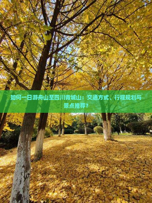 如何一日游舟山至四川青城山：交通方式、行程规划与景点推荐？