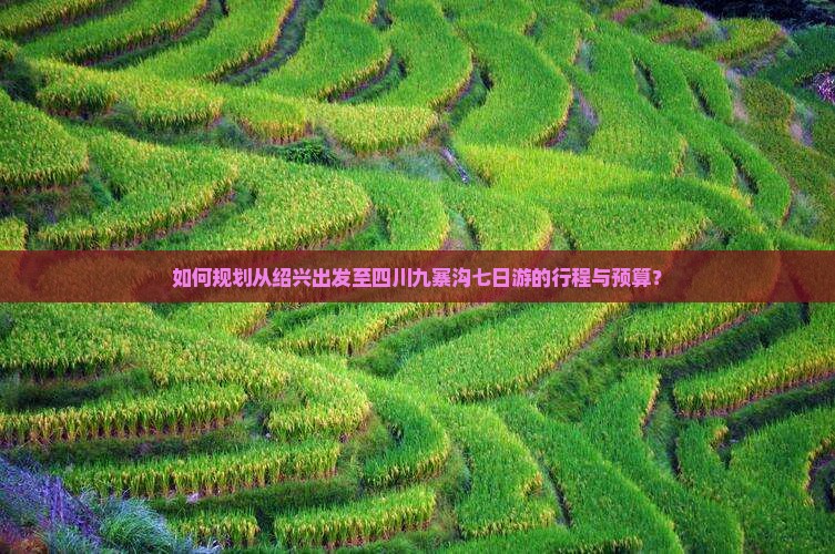 如何规划从绍兴出发至四川九寨沟七日游的行程与预算？