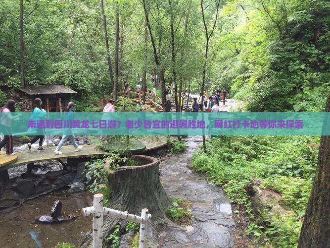 南通到四川黄龙七日游？老少皆宜的避暑胜地，网红打卡地等你来探索