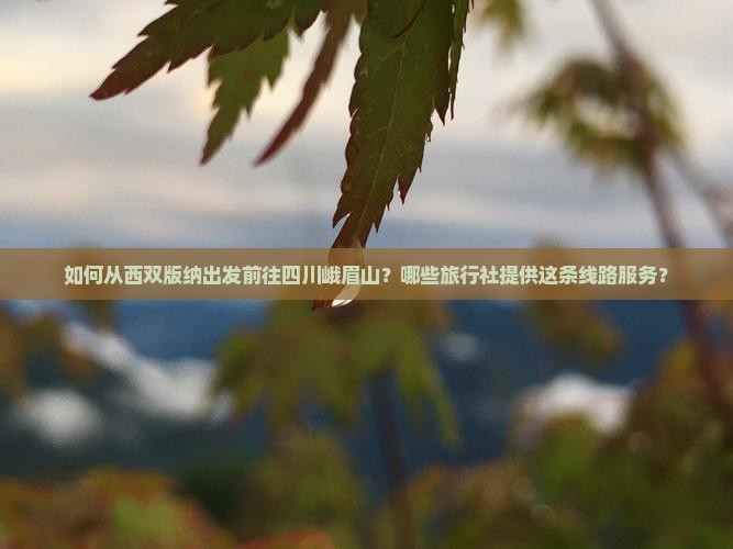 如何从西双版纳出发前往四川峨眉山？哪些旅行社提供这条线路服务？