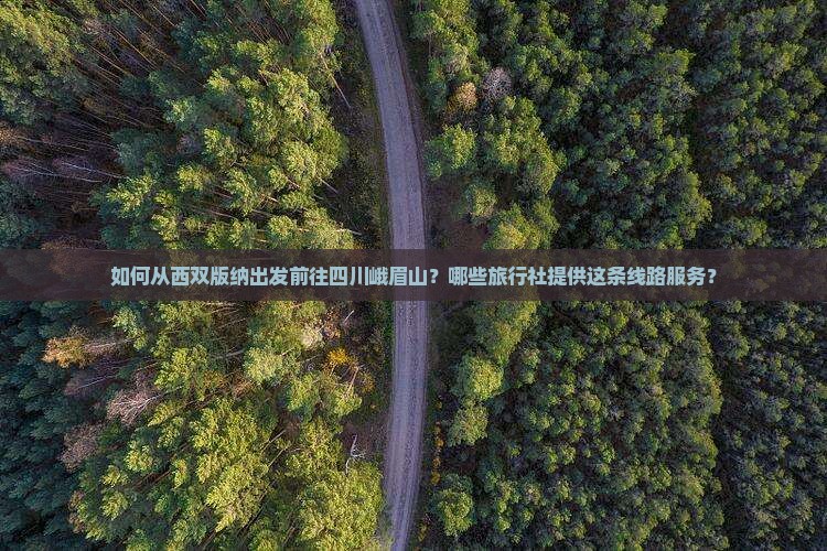 如何从西双版纳出发前往四川峨眉山？哪些旅行社提供这条线路服务？