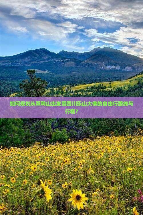 如何规划从双鸭山出发至四川乐山大佛的自由行路线与行程？
