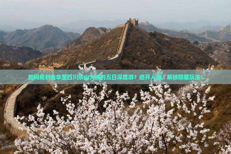 如何规划金华至四川乐山大佛的五日深度游？避开人潮，解锁隐藏玩法！