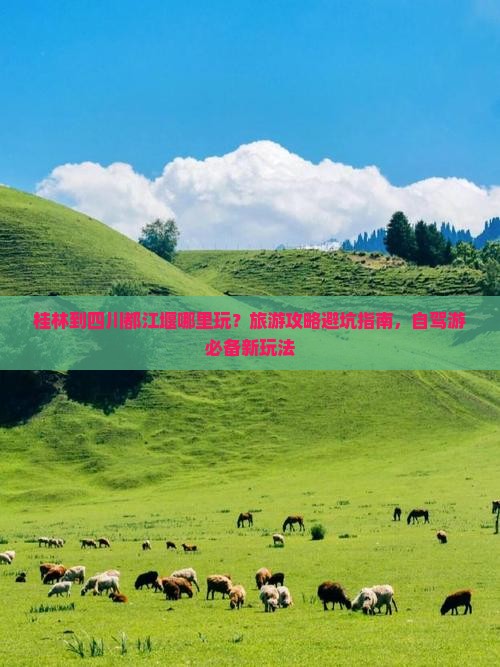 桂林到四川都江堰哪里玩？旅游攻略避坑指南，自驾游必备新玩法