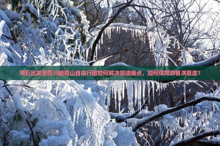 黄石出发至四川峨眉山自由行团如何解决旅途痛点，如何保障游客满意度？