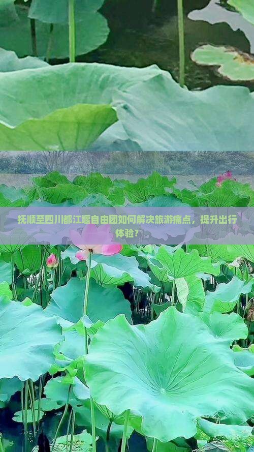 抚顺至四川都江堰自由团如何解决旅游痛点，提升出行体验？
