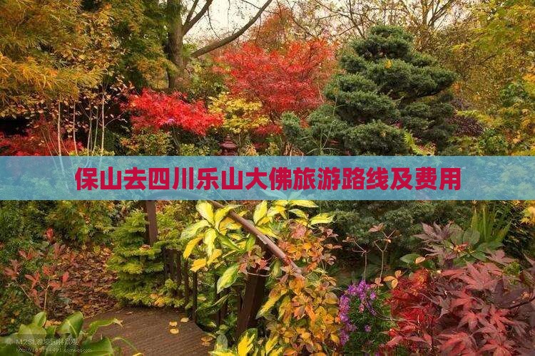 保山去四川乐山大佛旅游路线及费用