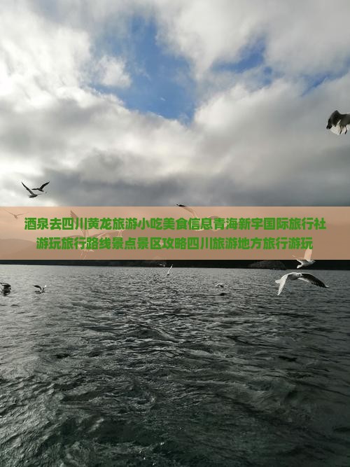 酒泉去四川黄龙旅游小吃美食信息青海新宇国际旅行社游玩旅行路线景点景区攻略四川旅游地方旅行游玩