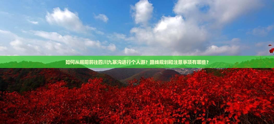 如何从揭阳前往四川九寨沟进行个人游？路线规划和注意事项有哪些？