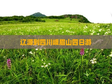 辽源到四川峨眉山四日游
