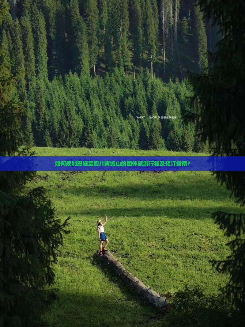 如何规划恩施至四川青城山的团体旅游行程及预订指南？