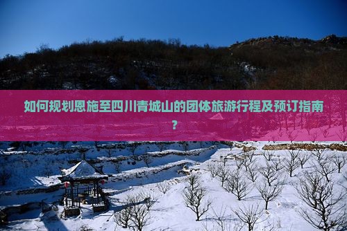 如何规划恩施至四川青城山的团体旅游行程及预订指南？