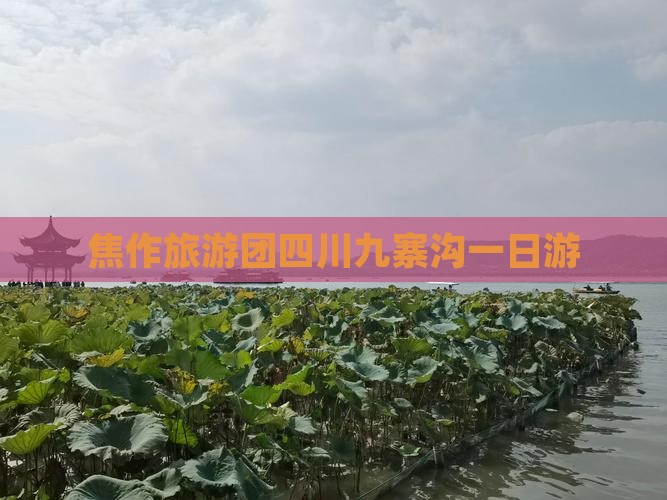 焦作旅游团四川九寨沟一日游