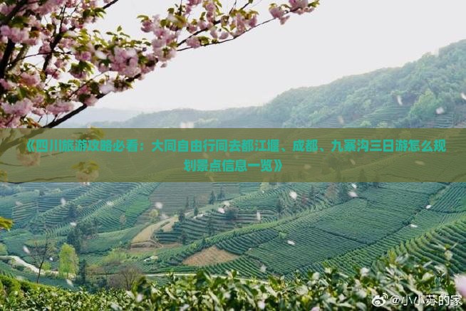 《四川旅游攻略必看：大同自由行同去都江堰、成都、九寨沟三日游怎么规划景点信息一览》