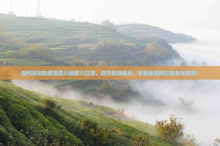 如何规划松原至四川成都六日游，避开旅游痛点，享受地道网红美食与美景？