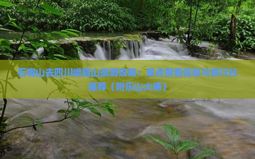 石嘴山去四川峨眉山旅游攻略：景点看看信息与旅行社推荐（附乐山大佛）