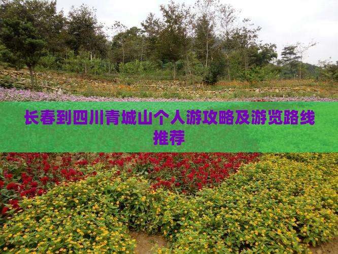 长春到四川青城山个人游攻略及游览路线推荐