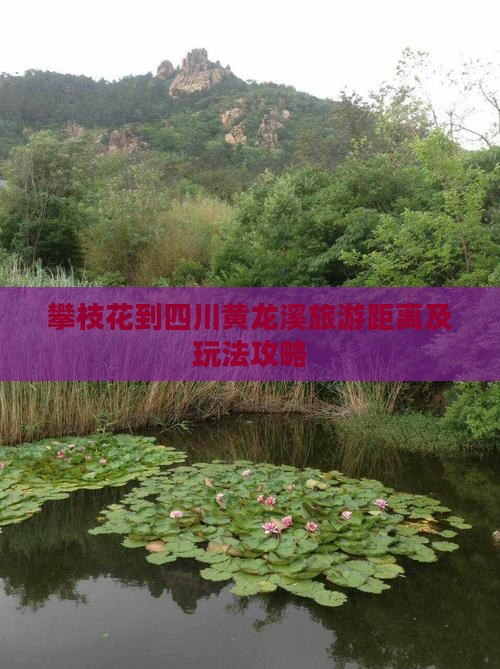 攀枝花到四川黄龙溪旅游距离及玩法攻略