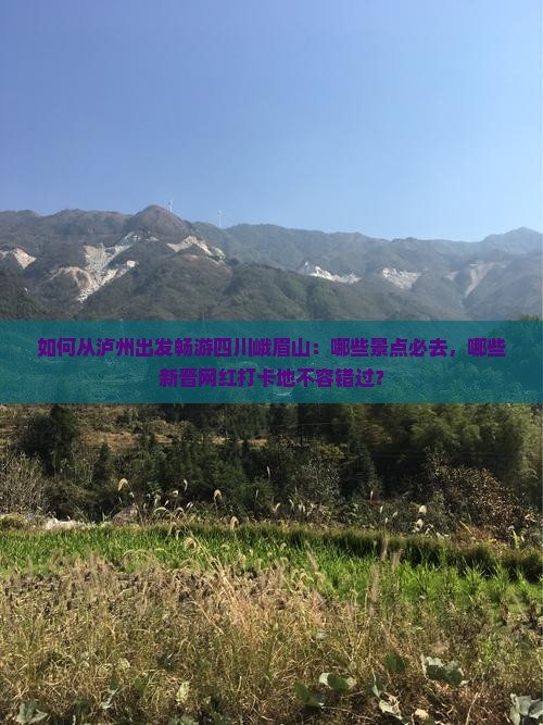 如何从泸州出发畅游四川峨眉山：哪些景点必去，哪些新晋网红打卡地不容错过？