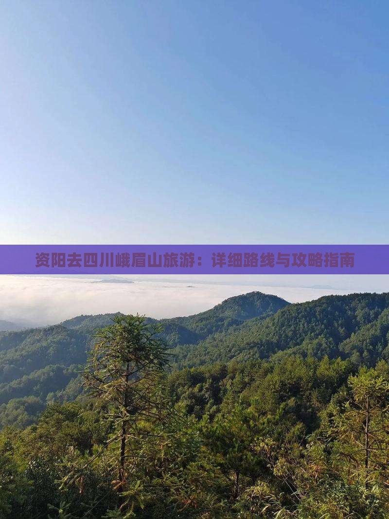 资阳去四川峨眉山旅游：详细路线与攻略指南
