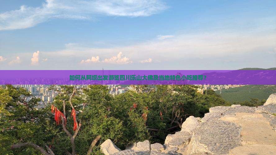 如何从阿坝出发游览四川乐山大佛及当地特色小吃推荐？