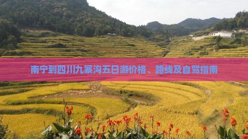 南宁到四川九寨沟五日游价格、路线及自驾指南