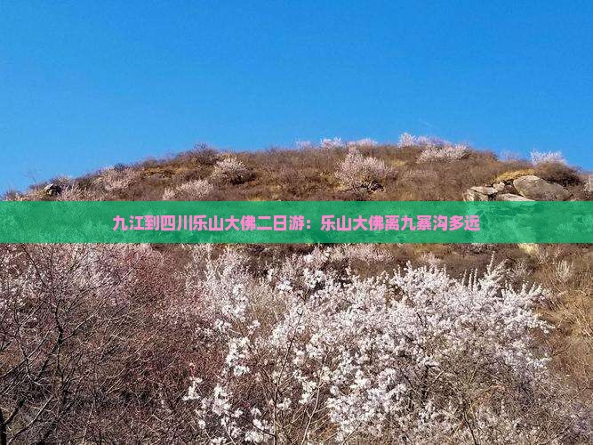 九江到四川乐山大佛二日游：乐山大佛离九寨沟多远
