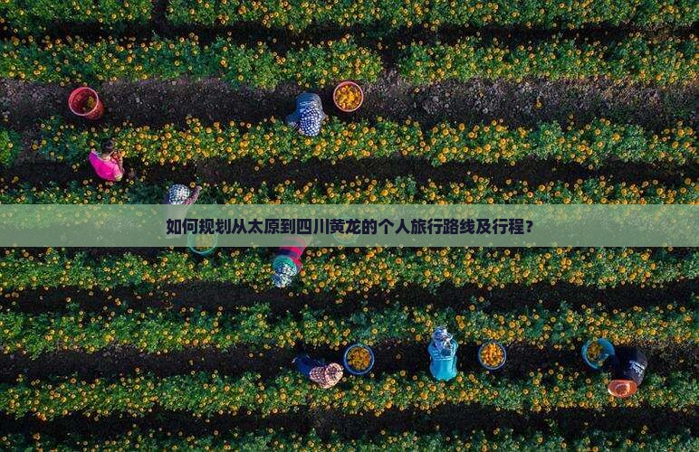 如何规划从太原到四川黄龙的个人旅行路线及行程？