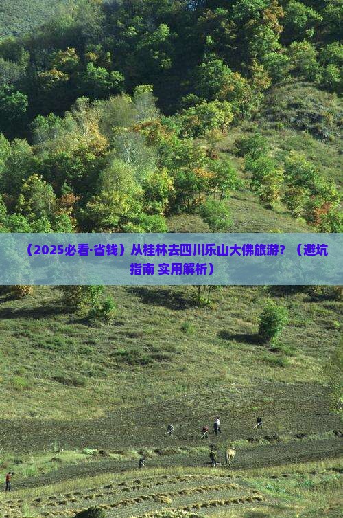 桂林去四川乐山大佛必去地