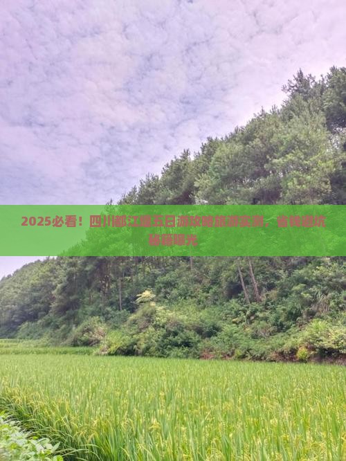 乌鲁木齐去四川都江堰五日游