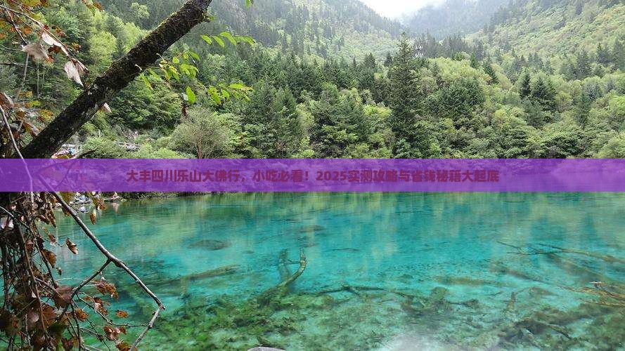 大丰去四川乐山大佛旅游小吃 大丰去四川乐山大佛旅游小吃
