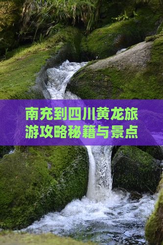 南充到四川黄龙旅行社