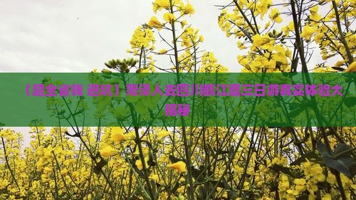 菏泽去四川都江堰三日游