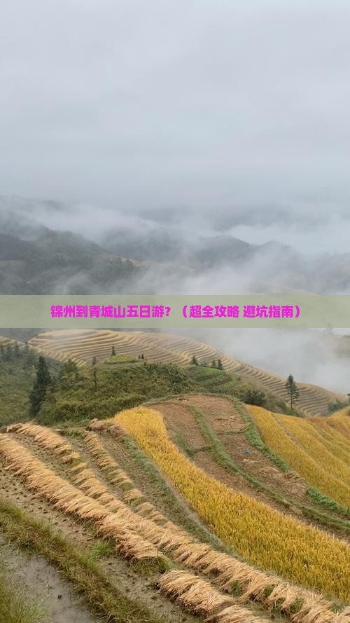 锦州去四川青城山五日游