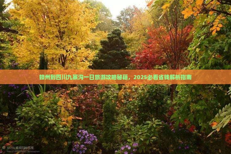 赣州到四川九寨沟一日