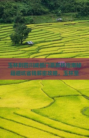 玉林到四川成都门票
