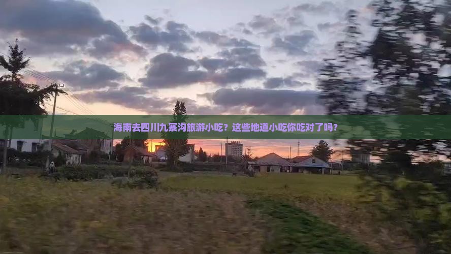 海南去四川九寨沟旅游小吃