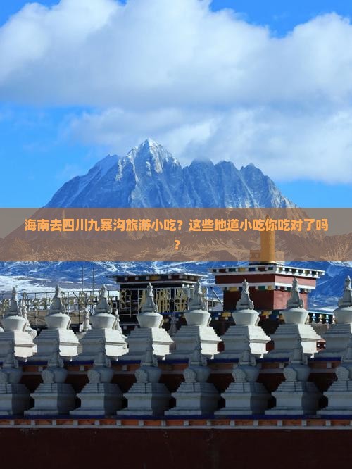 海南去四川九寨沟旅游小吃