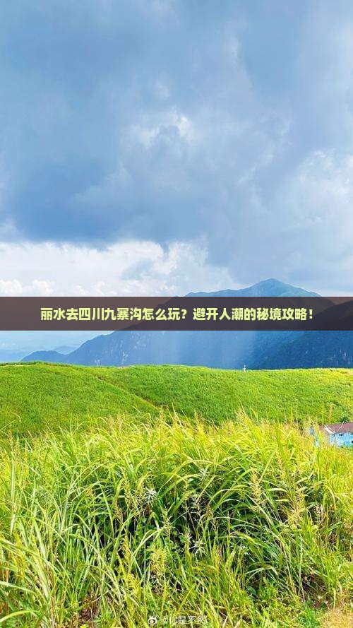 丽水去四川九寨沟攻略