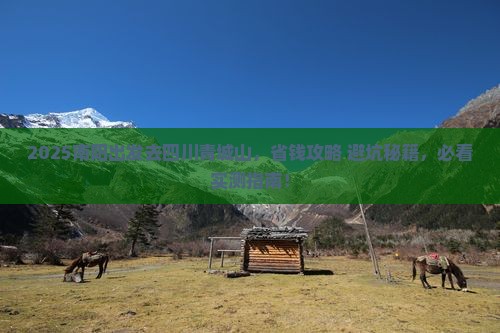 南阳去四川青城山攻略