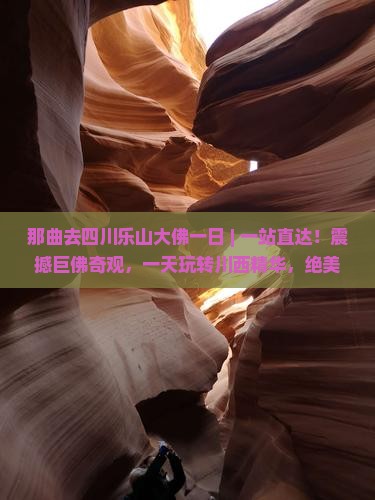 那曲去四川乐山大佛一日