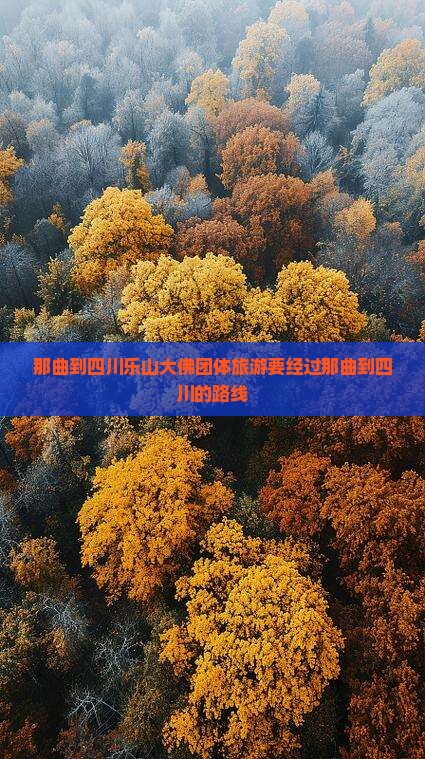那曲到四川乐山大佛团体旅游