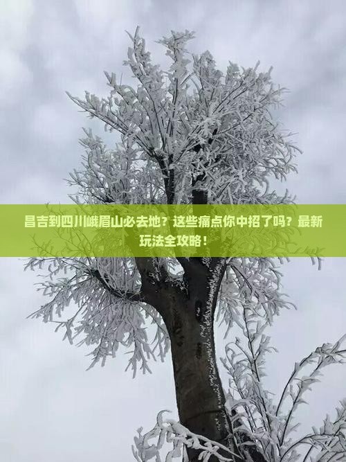 昌吉到四川峨眉山必去地